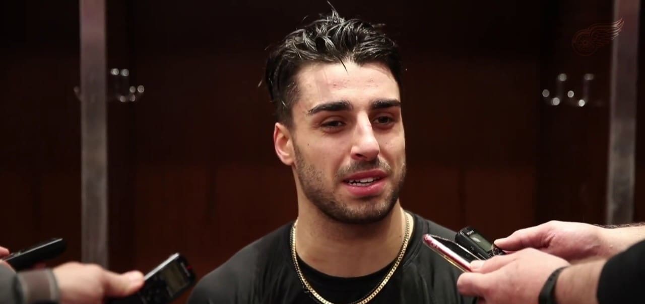 Robbie Fabbri, Detroit Red Wings