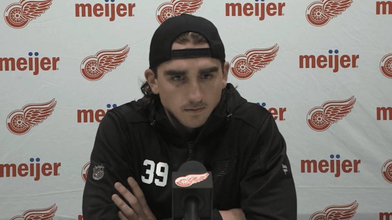 Red Wings' Alex Nedeljkovic had Carolina return 'circled on calendar' 