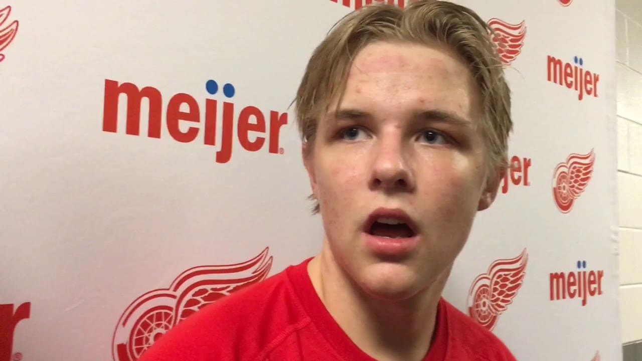 Jonatan Berggren, Detroit Red Wings