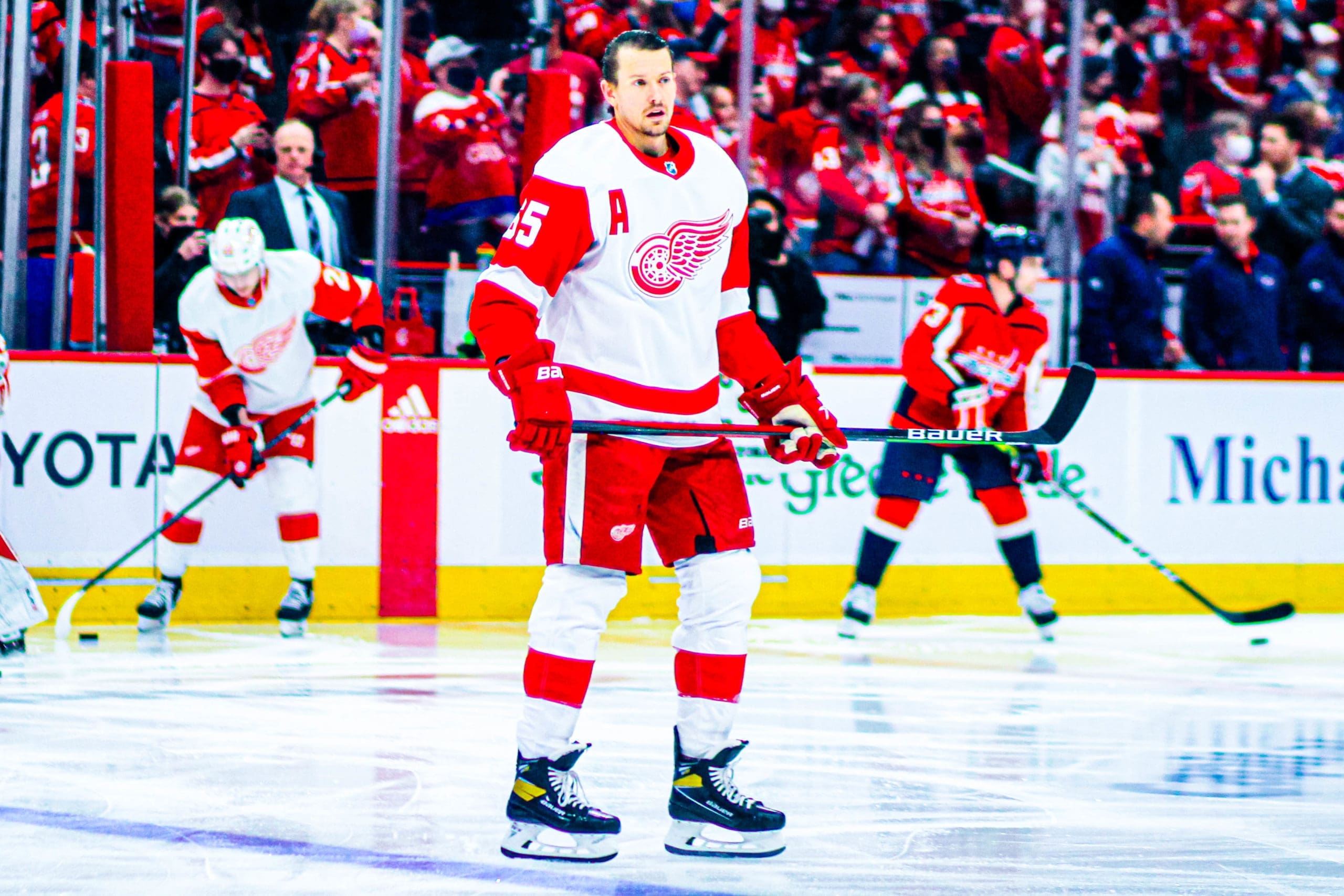 Danny DeKeyser, Detroit Red Wings