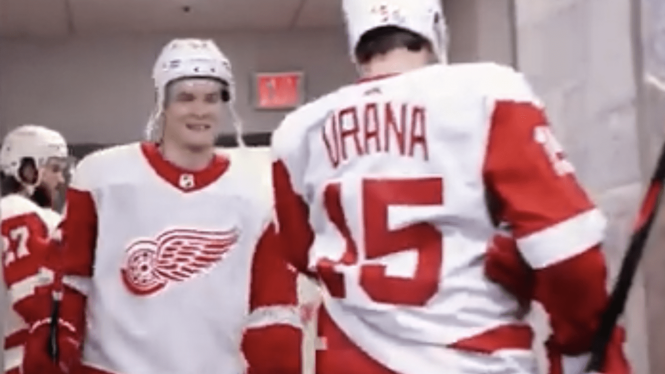 Vladislav Namestnikov, Detroit Red Wings