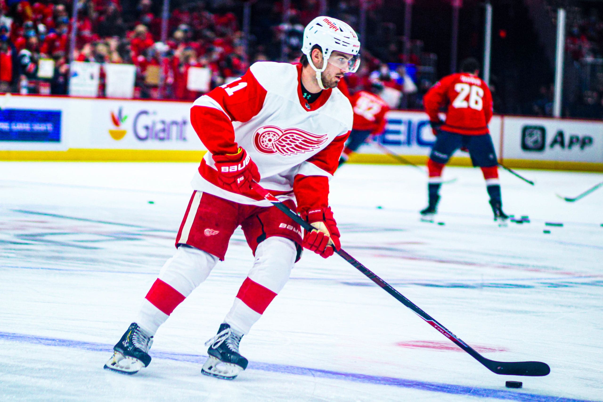 Filip Zadina, Detroit Red Wings