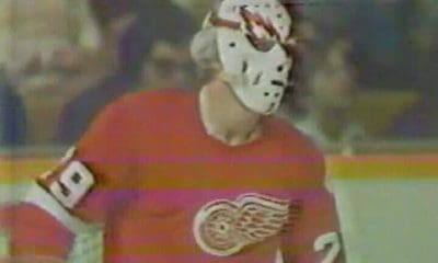 Ed Giacomin, Detroit Red Wings
