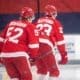 Jonatan-Berggren-Detroit-Red-Wings