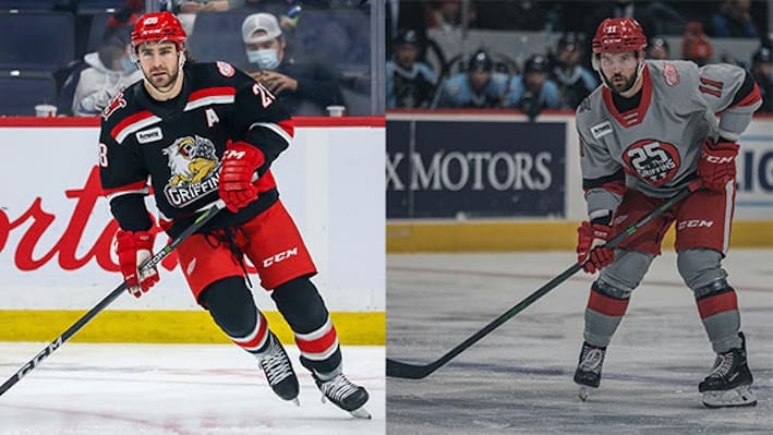 Luke Witkowski/Riley Barber, Detroit Red Wings