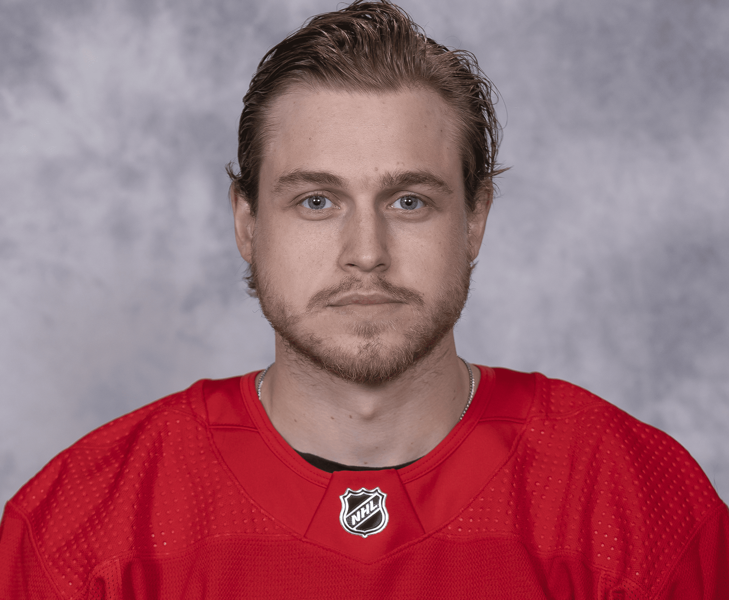 Mitchell Stephens, Detroit Red Wings