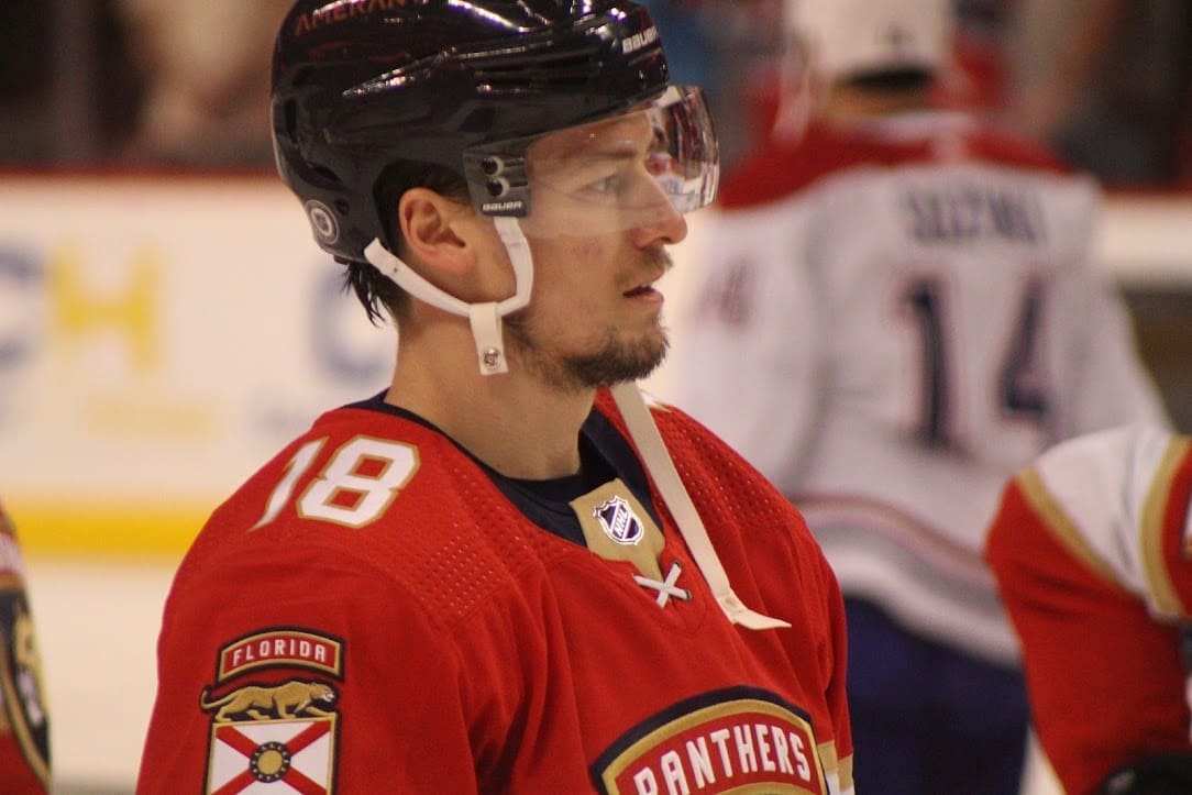 Robert Hagg, red wings