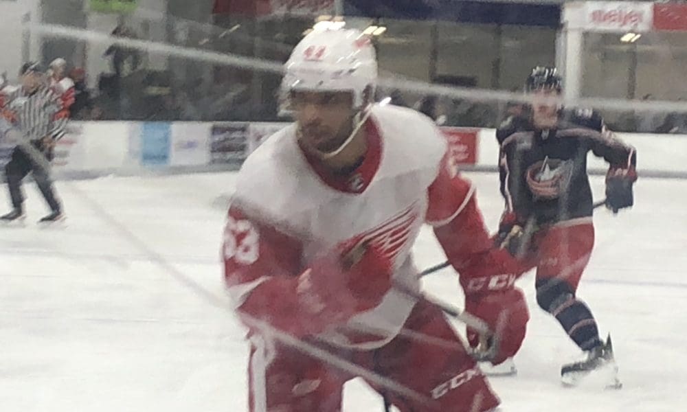 Jeremie Biakabutuka, Red Wings