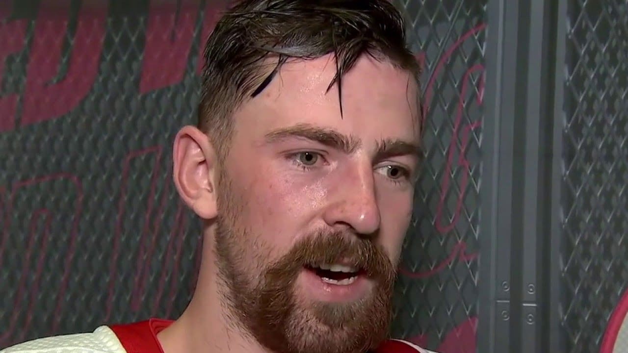 Red Wings Filip Hronek