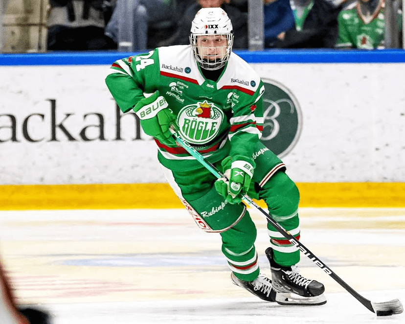 Detroit Red Wings Pick Marco Kasper In 2022 NHL Draft