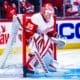 Ville Husso, Red Wings