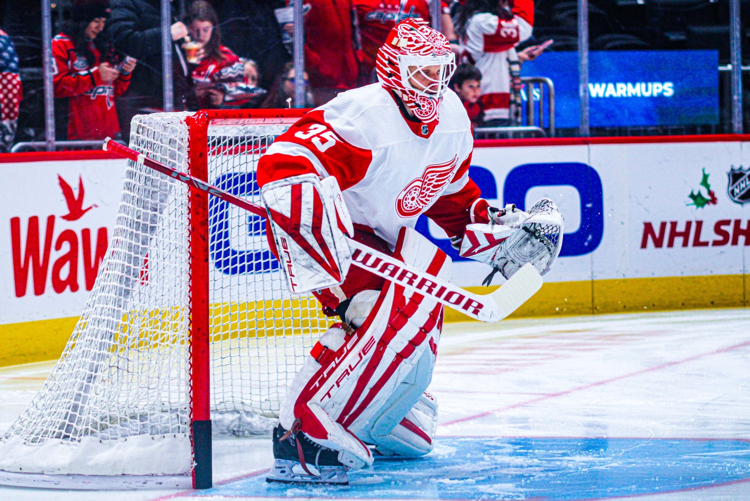 Ville Husso, Red Wings