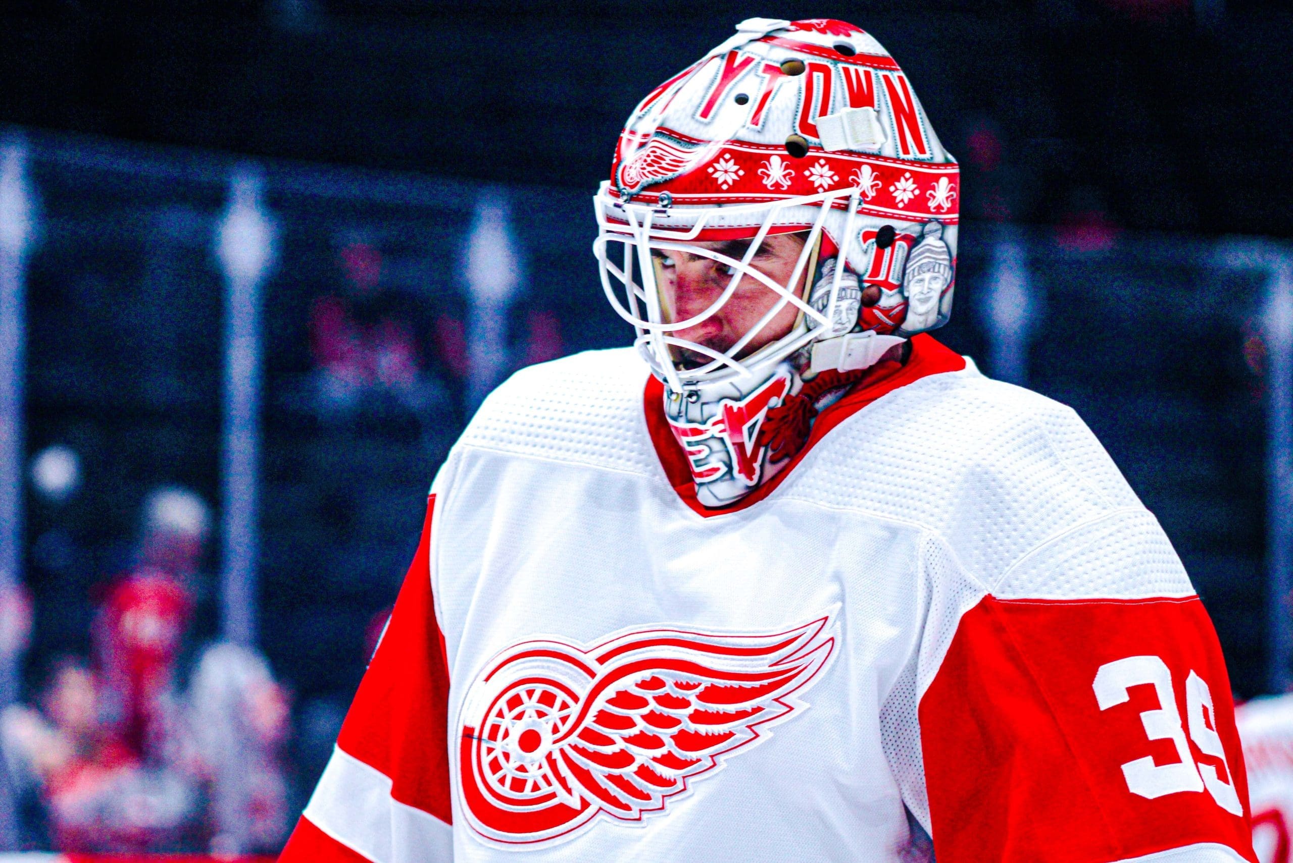 Alex Nedeljkovic, Red Wings