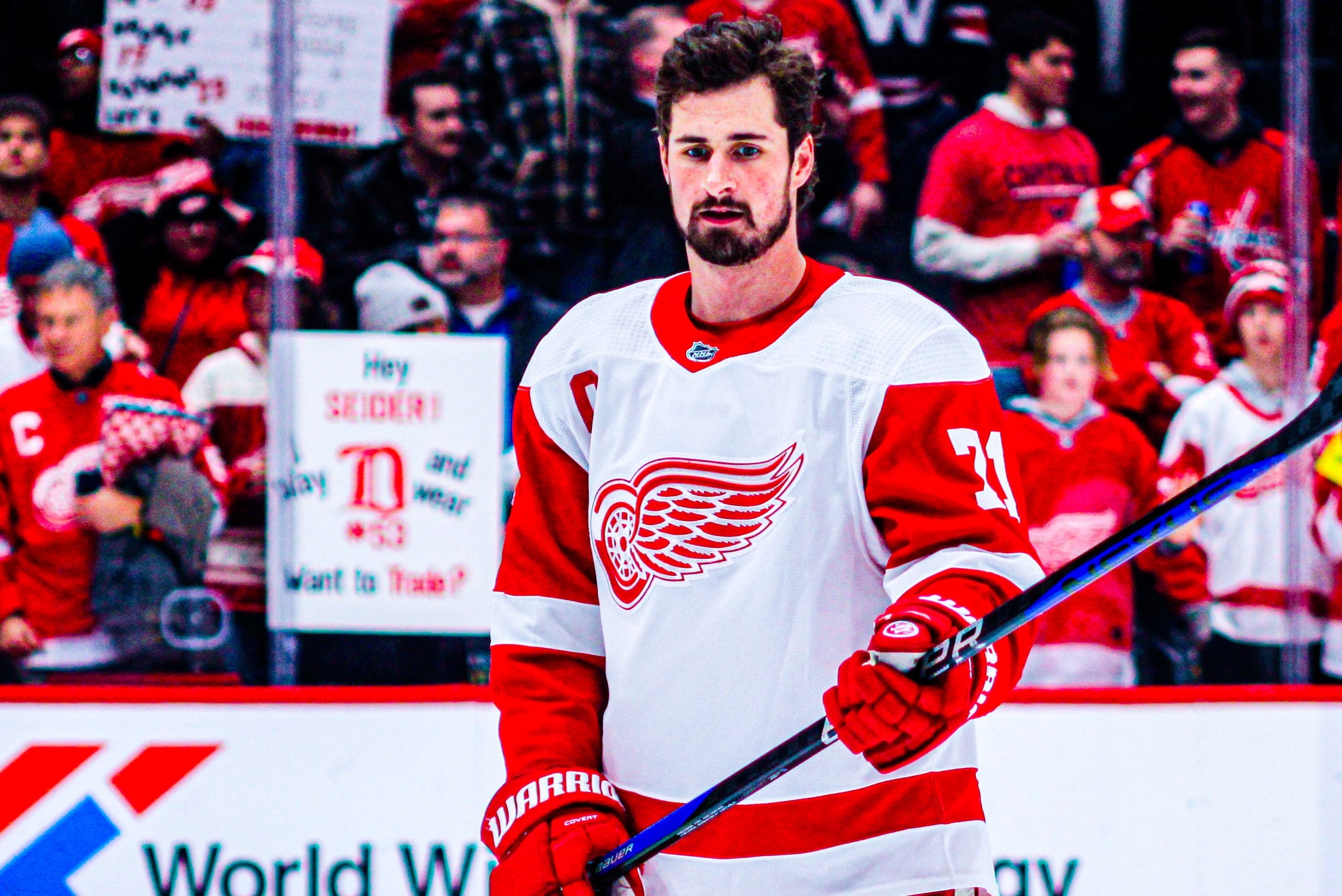 Red Wings Dylan Larkin