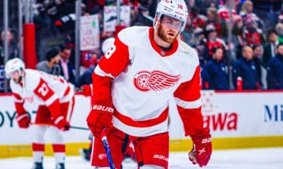 Andrew Copp, Red Wings
