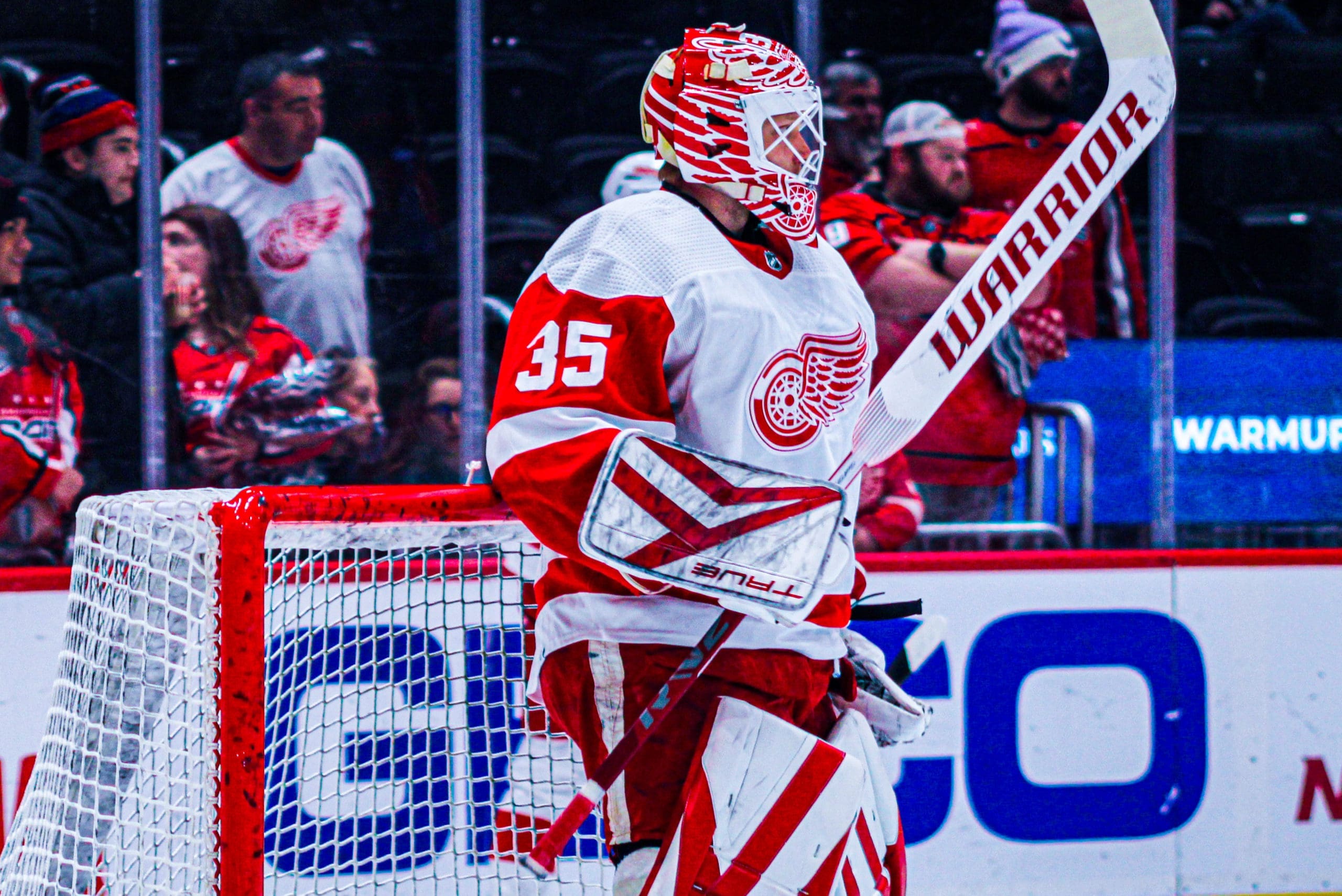 Ville Husso, Red Wings