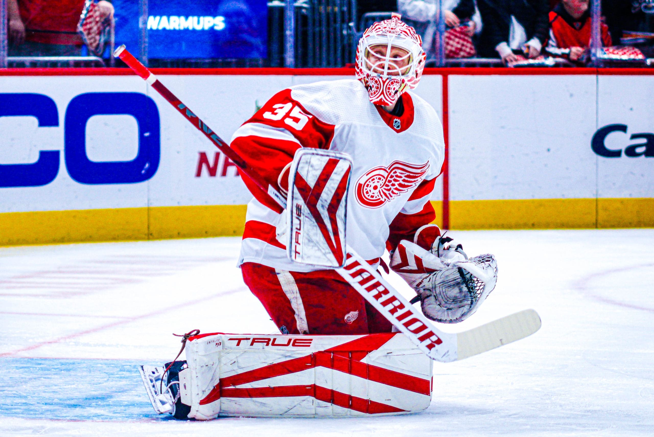 Ville Husso, Red Wings