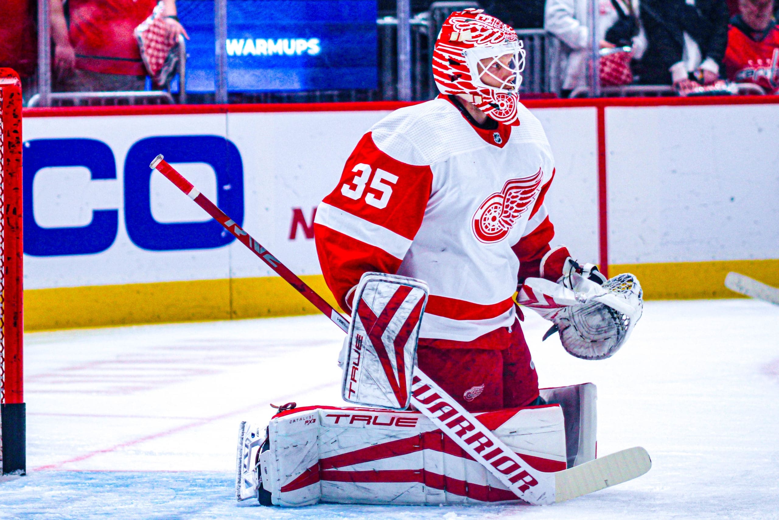 Ville Husso, Red Wings