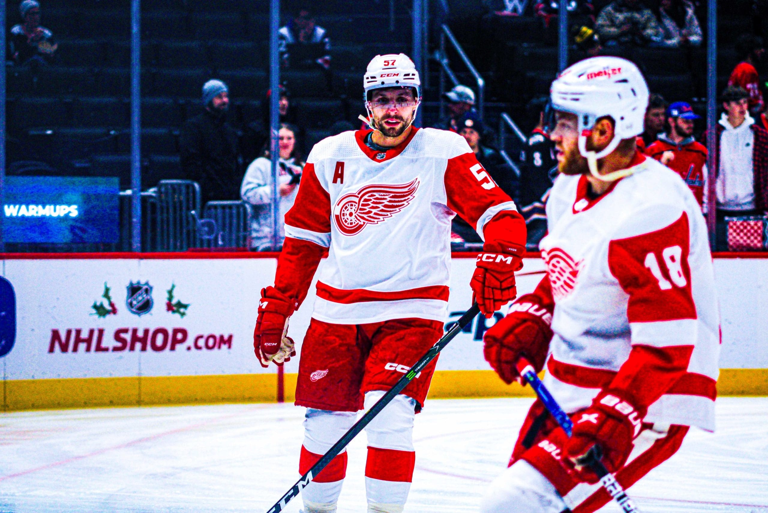 Red Wings Andrew Copp and David Perron
