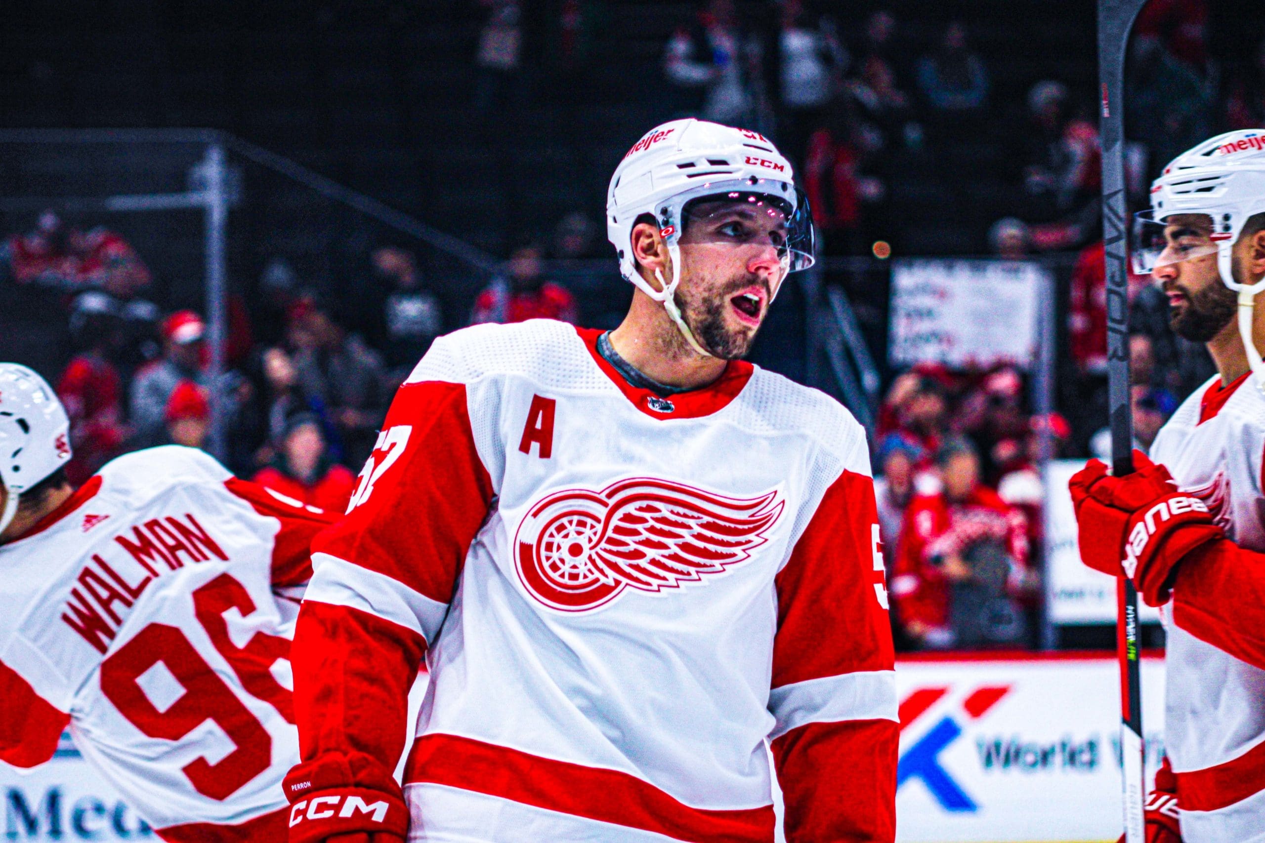 David Perron, Red Wings