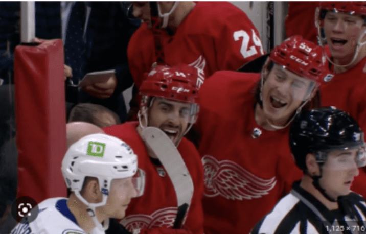 Red Wings chirping Alex Chaiasson