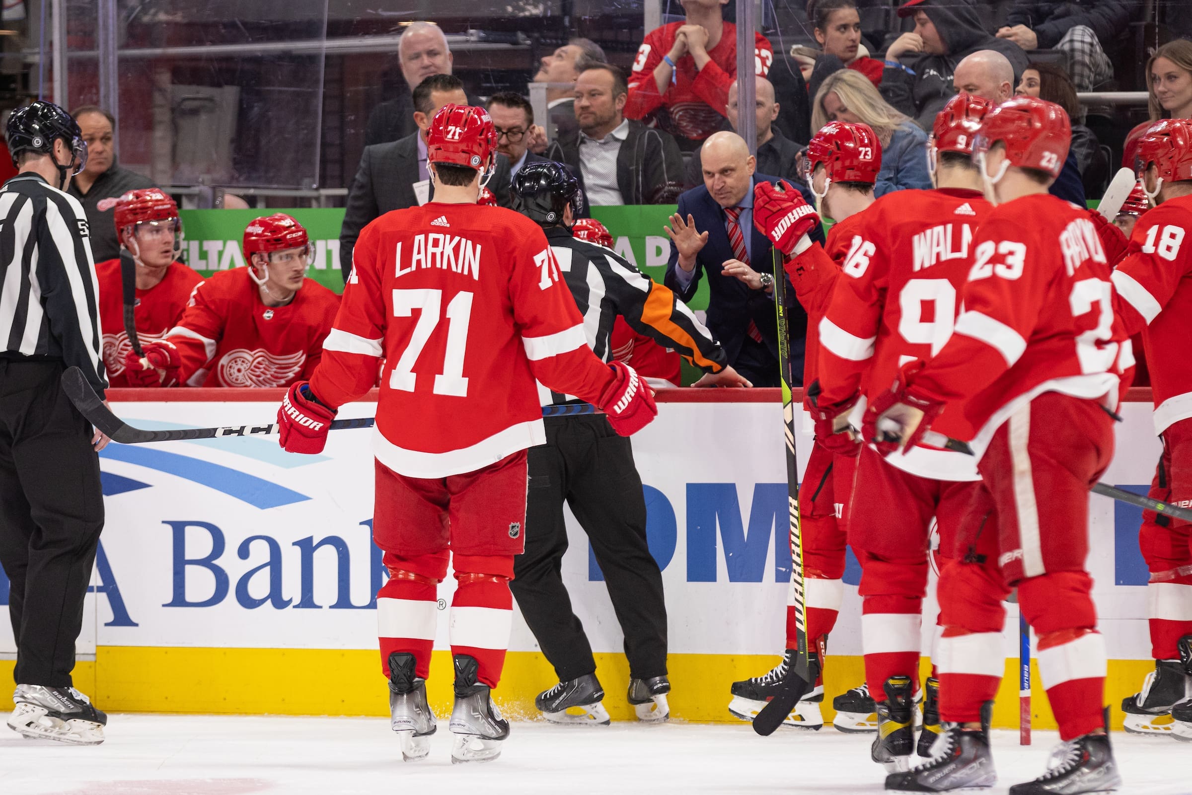 Red Wings coach Derek Lalonde