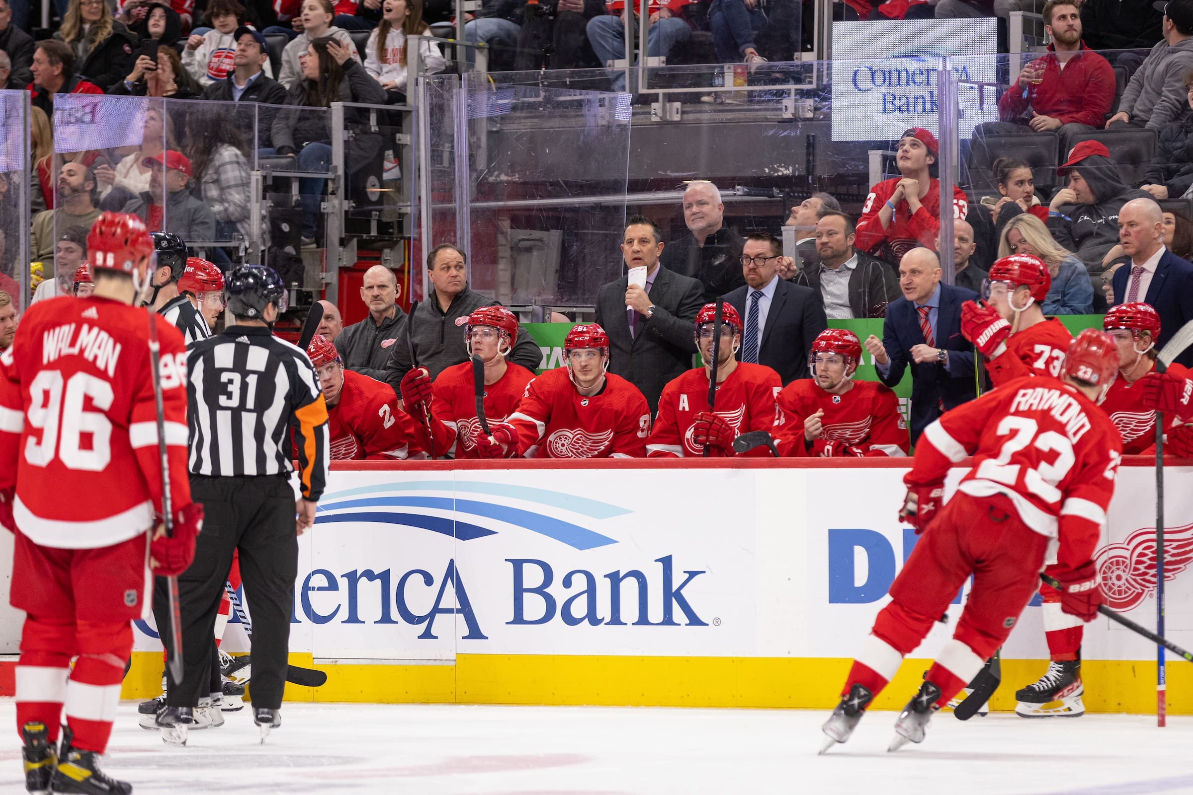 Red Wings bench