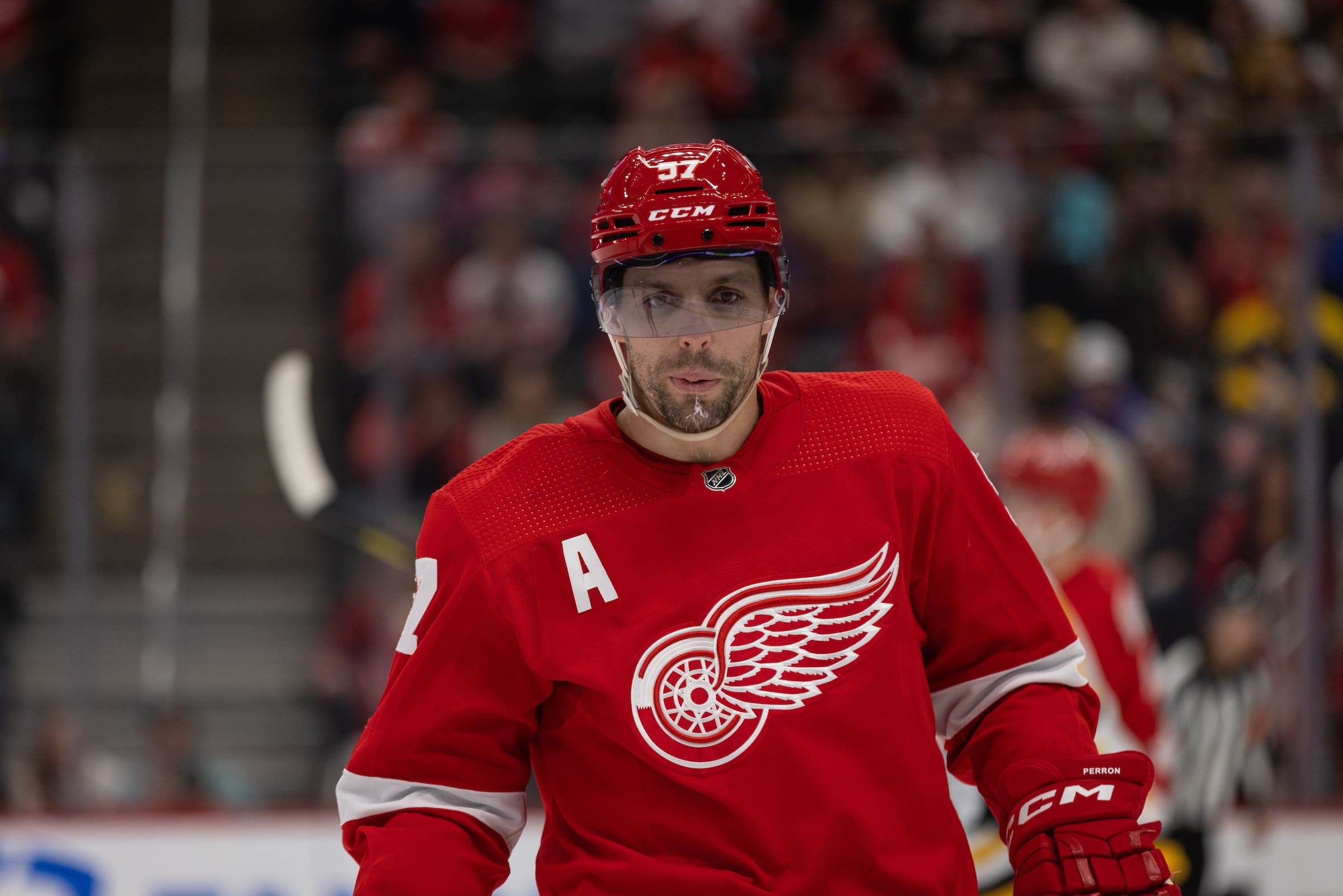 Red Wings veteran David Perron says: 'We Gotta Keep Winning