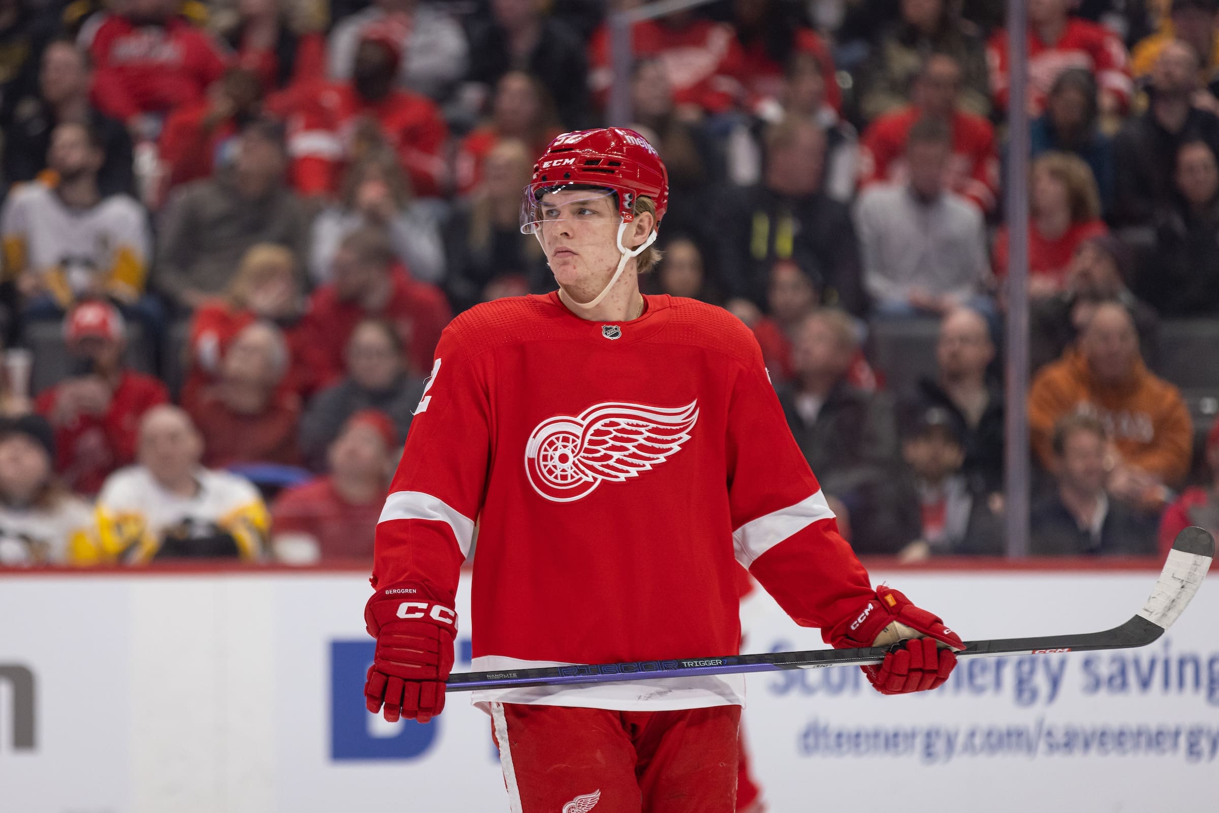 Red Wings: Top 3 Rookie Roster Candidates