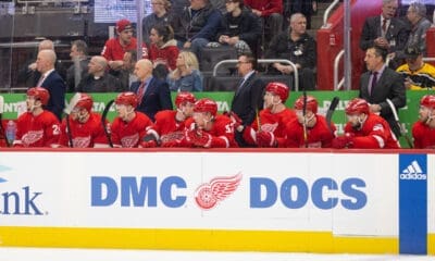 Red Wings bench
