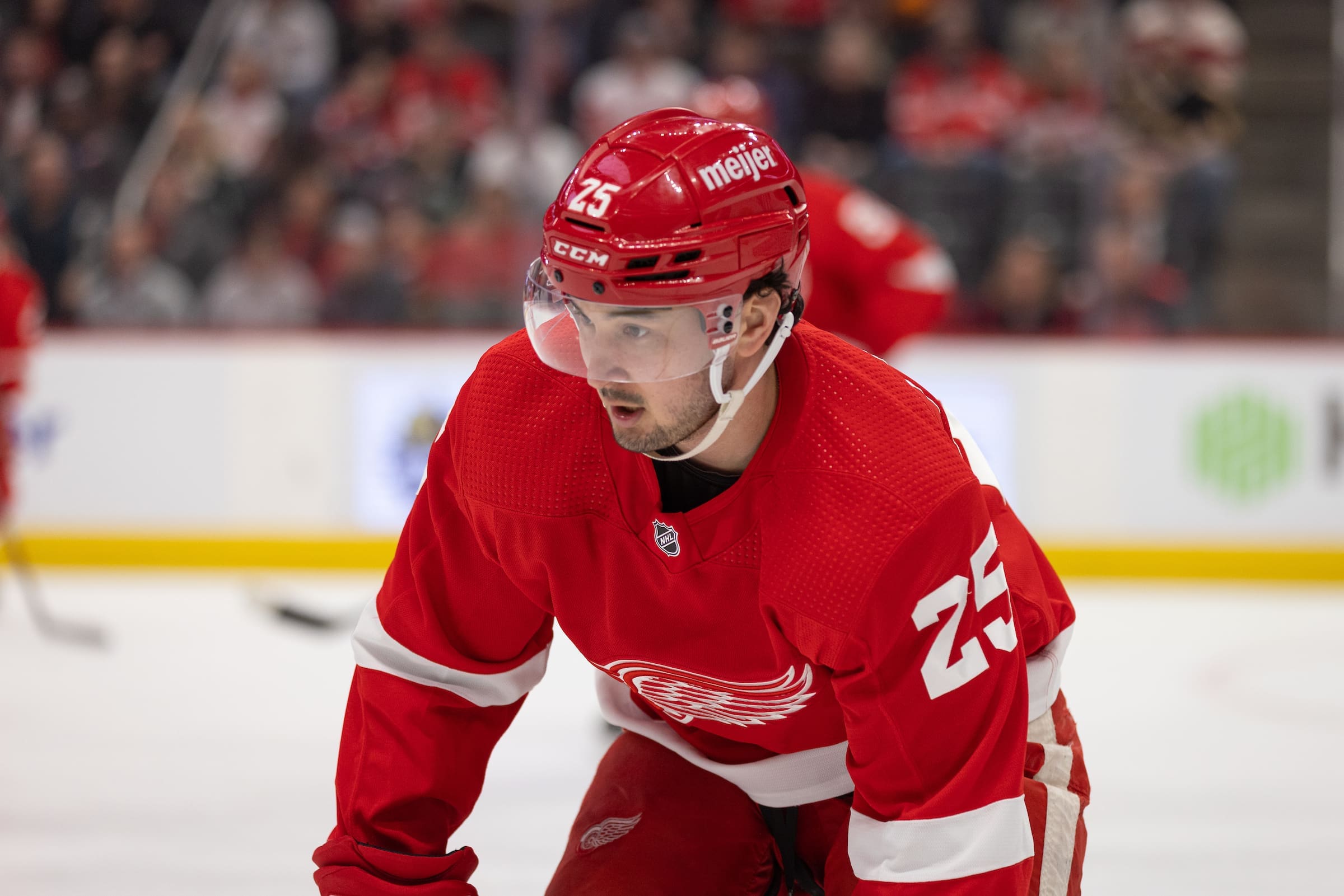 2023-24 NHL Prospect Pool Overview: Detroit Red Wings - The Hockey
