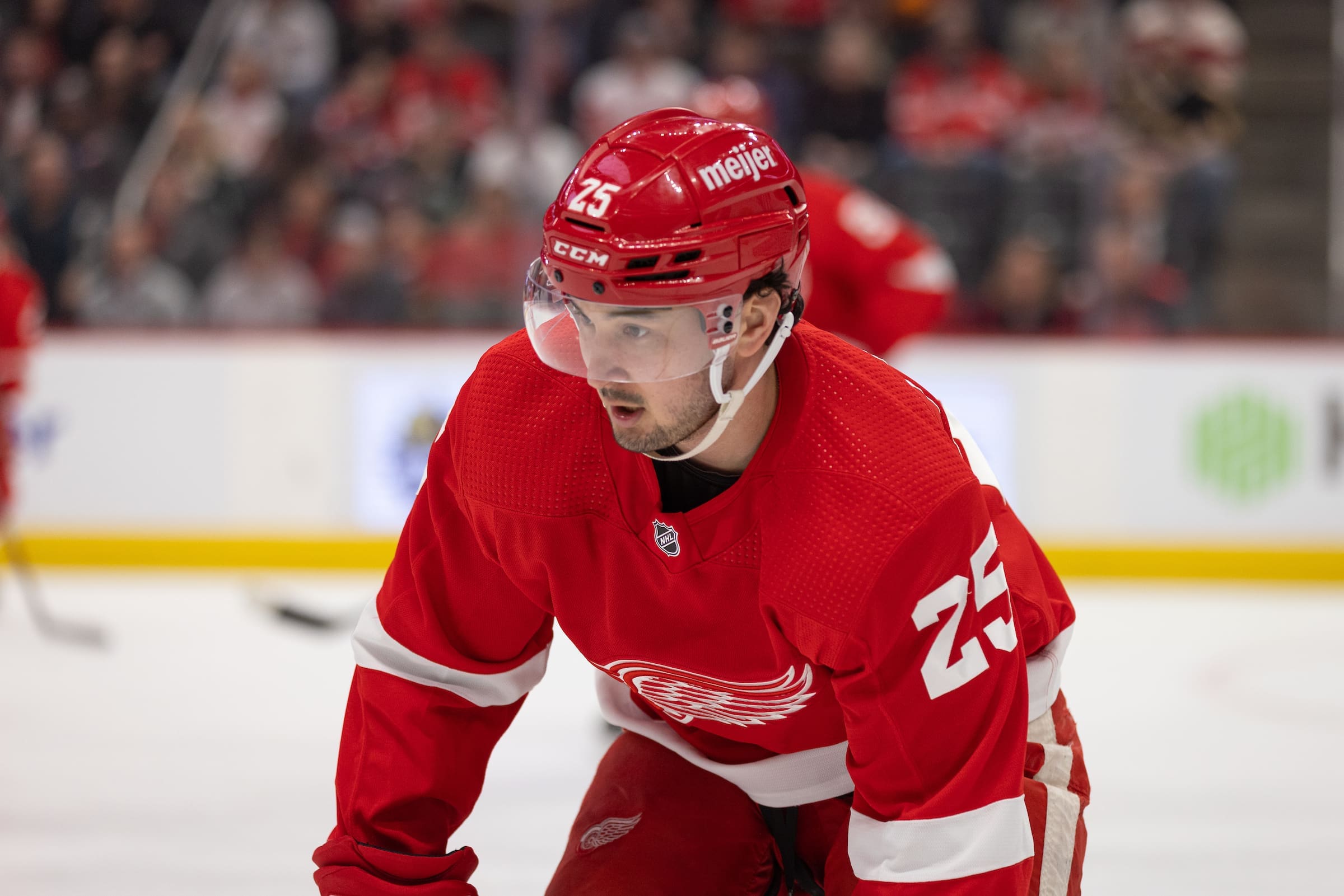 Red Wings Review: Elmer Soderblom's Future