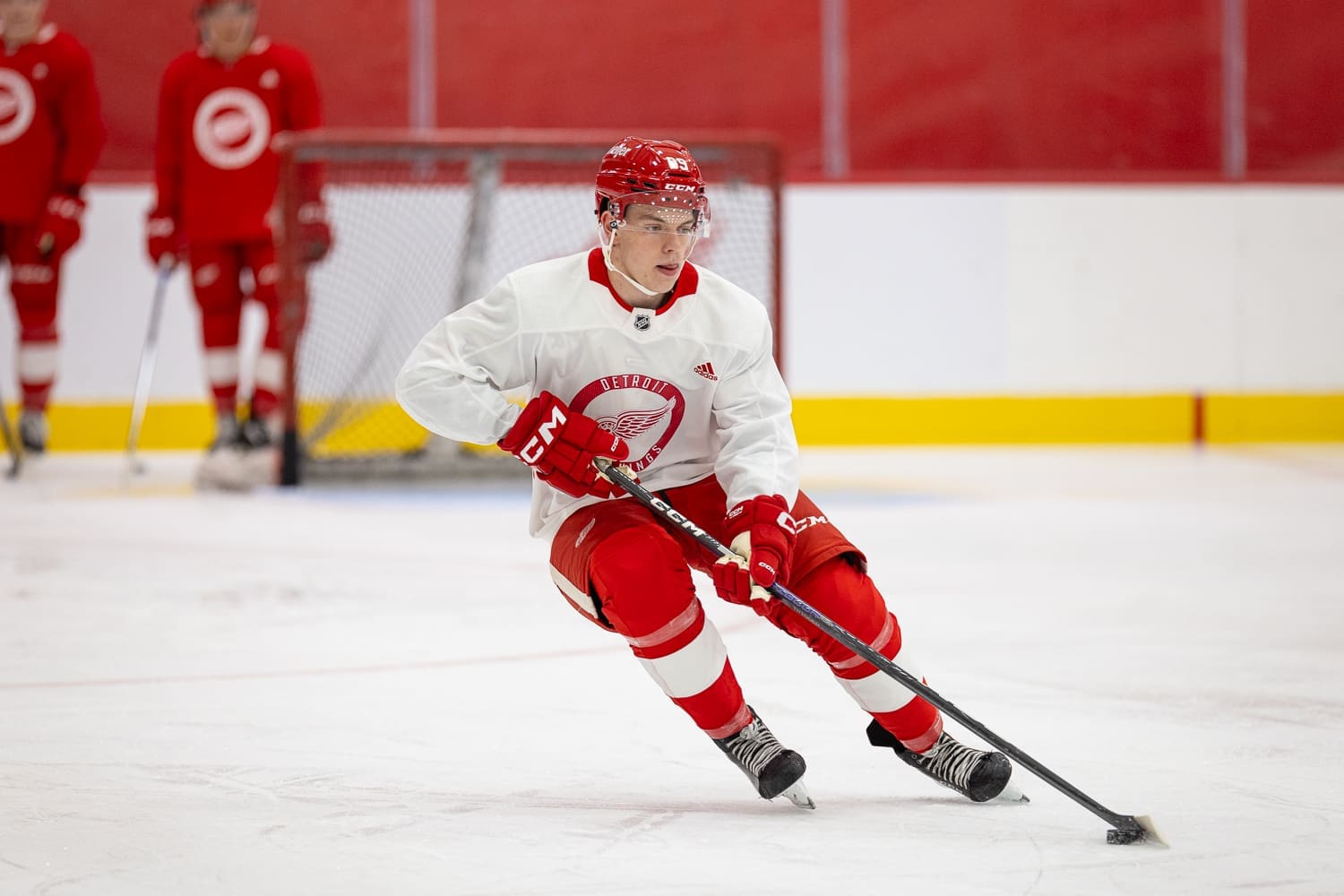 Kevin Bicker, Red Wings draftee