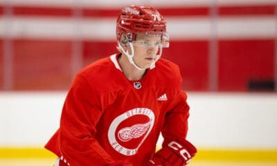 Theodor Niederbach, Red Wings prospect
