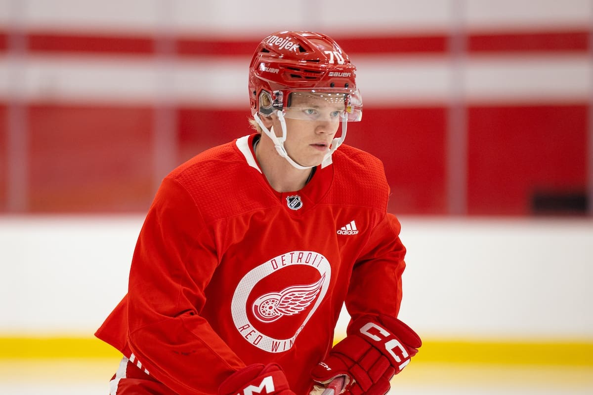 Theodor Niederbach, Red Wings prospect