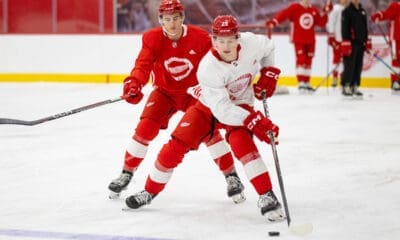 Nate Danielson, Red Wings prospect