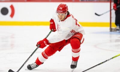 Dylan James, Red Wings prospect