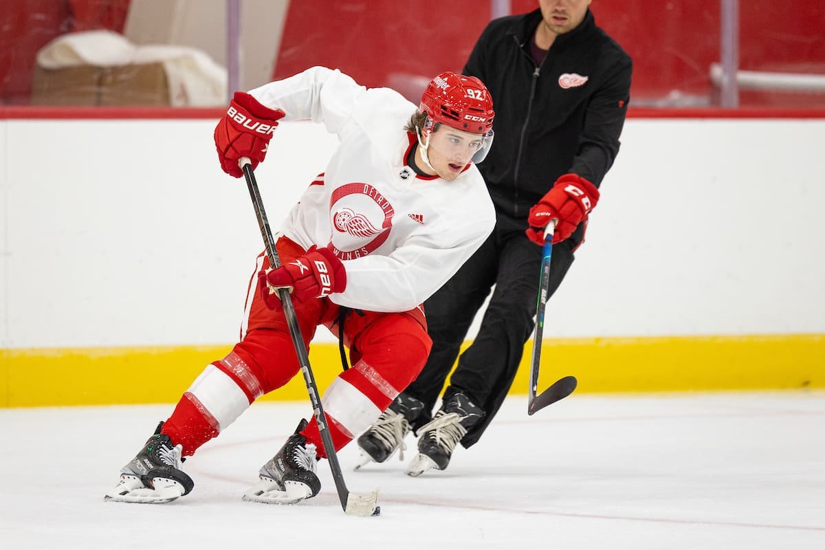 Detroit Red Wings Gear Hockey Puck