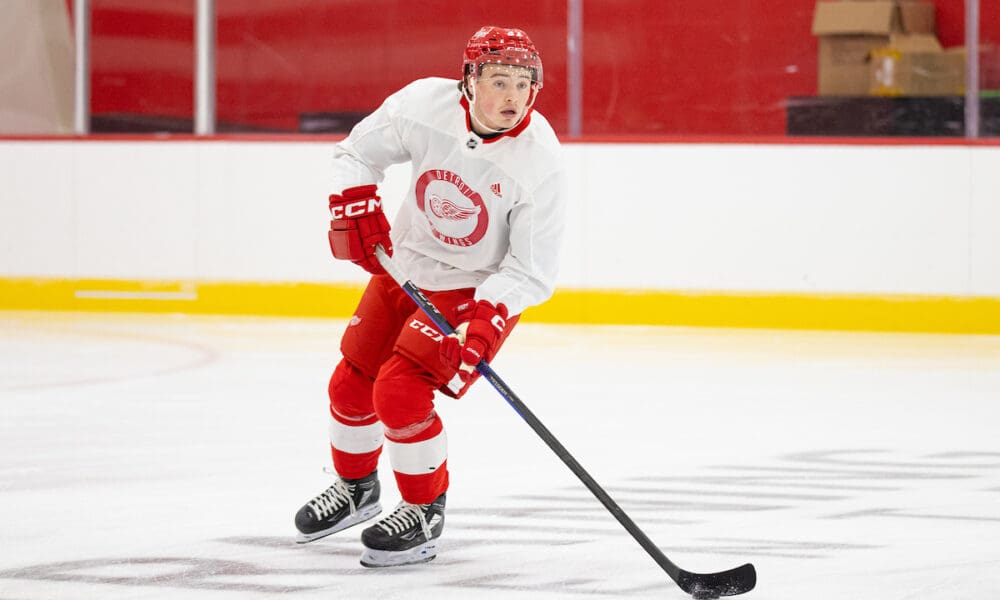 Alexandre Doucet, Red Wings prospect