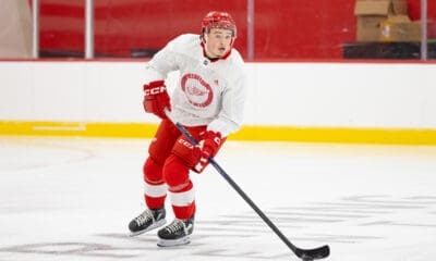 Alexandre Doucet, Red Wings prospect
