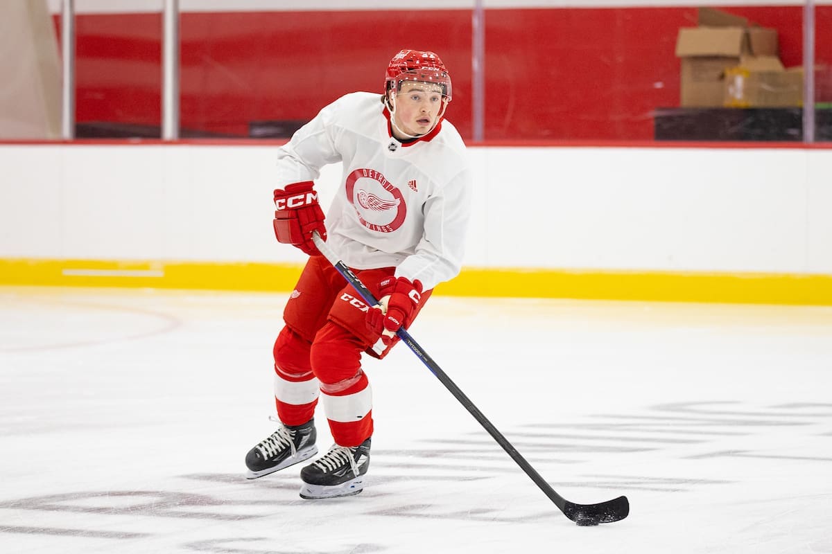 Alexandre Doucet, Red Wings prospect