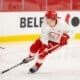 Nate Danielson, Red Wings prospect