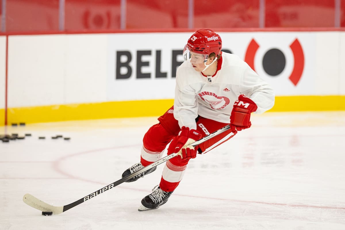 Red Wings recall Elmer Soderblom from Grand Rapids