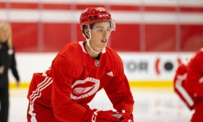 Andrew Gibson, Red Wings prospect
