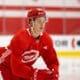 Andrew Gibson, Red Wings prospect