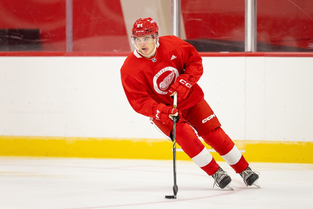 Red Wings prospect watch: Five players who didn't make the final