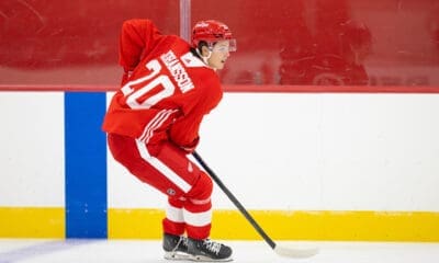 Anton Johansson, Red Wings prospect