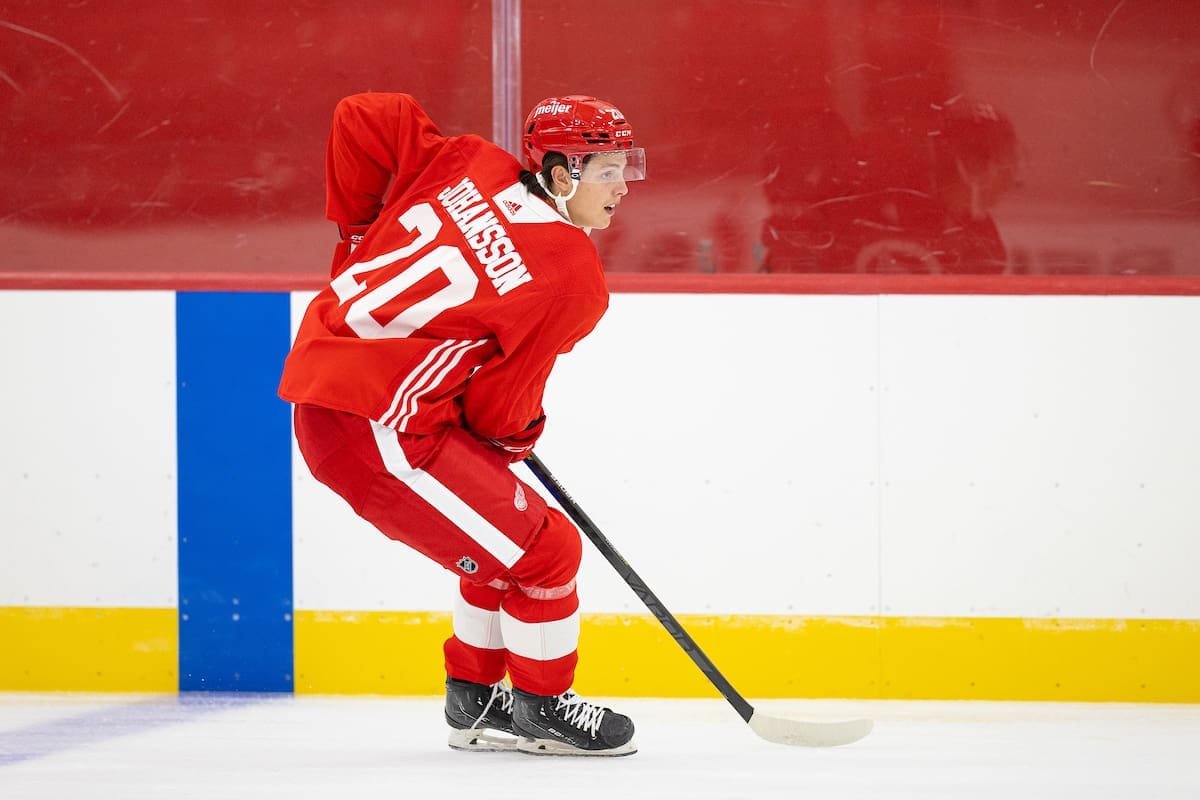 Anton Johansson, Red Wings prospect