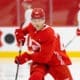 Noah Dower-Nilsson, Red Wings prospect