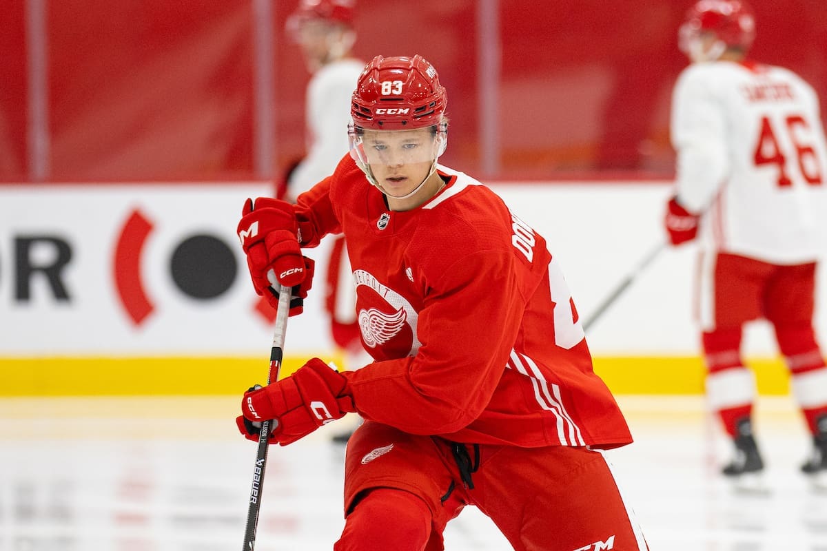 Noah Dower-Nilsson, Red Wings prospect